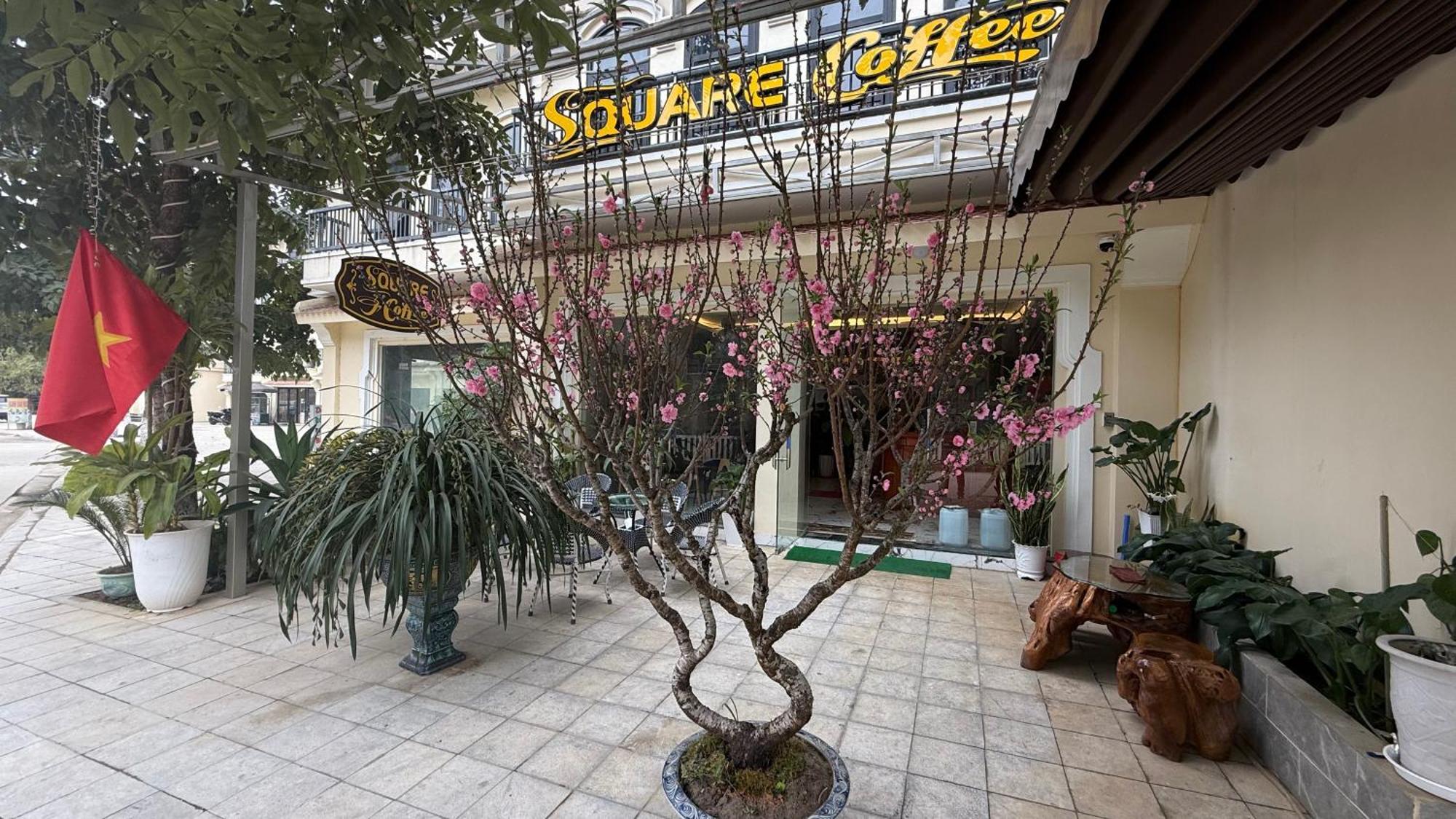 Square Homestay & Coffee Бак-Ха Екстер'єр фото